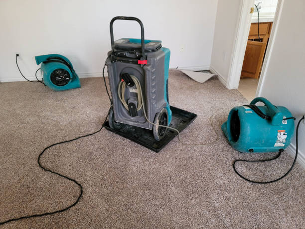 Best 24/7 water damage repair  in Neshanic Station, NJ