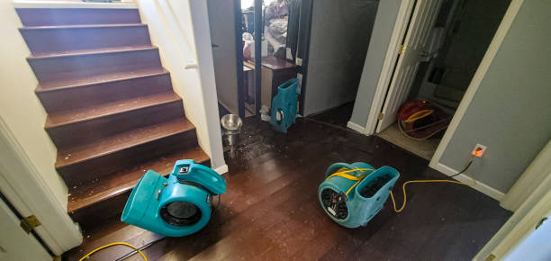Best Sewage cleanup and water damage restoration  in Neshanic Station, NJ