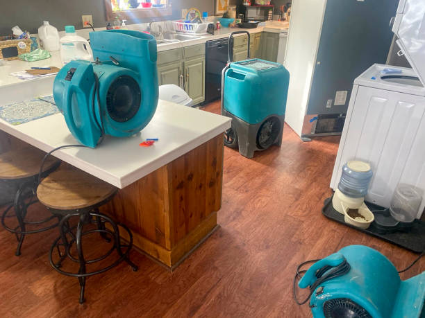 Best Water damage restoration near me  in Neshanic Station, NJ
