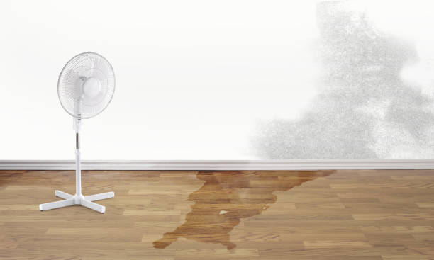 Best Fire Damage Restoration  in Neshanic Station, NJ