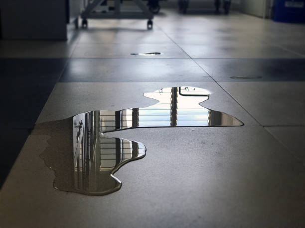 Water damage restoration insurance claims in Neshanic Station, NJ