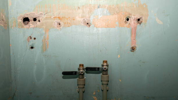24/7 water damage repair in Neshanic Station, NJ