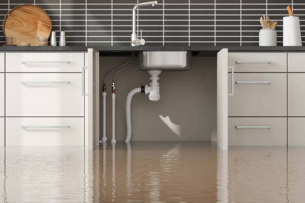 Best 24-hour water damage restoration  in Neshanic Station, NJ