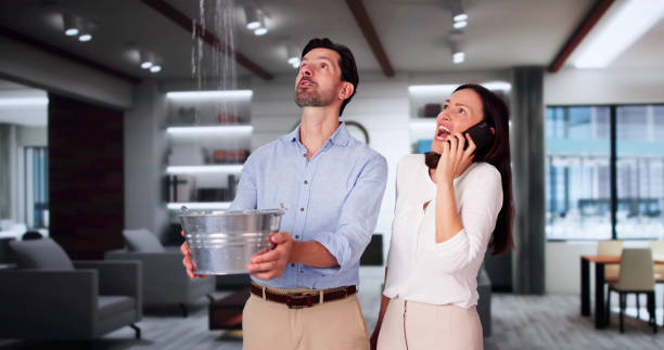 Best Professional water damage repair  in Neshanic Station, NJ
