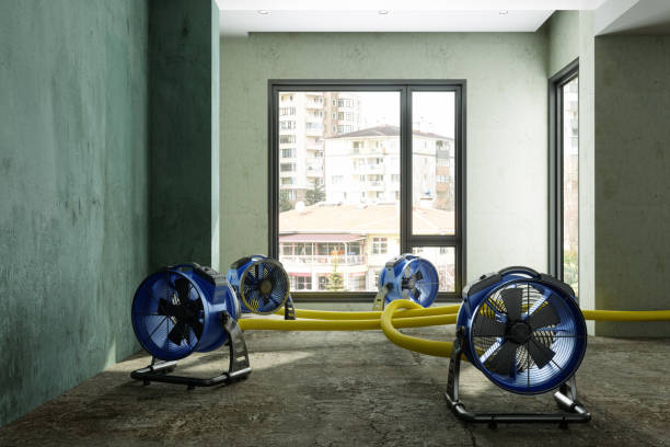 Reliable Neshanic Station, NJ Water damage restoration Solutions