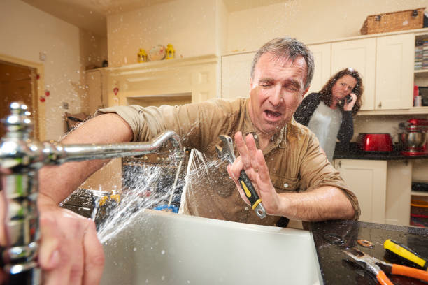  Neshanic Station, NJ Water damage restoration Pros